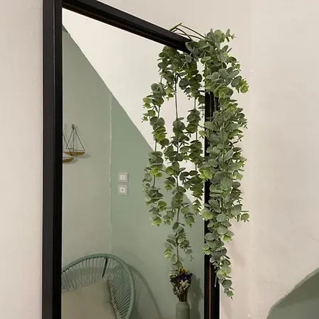 Quattro Canti - Vibes *